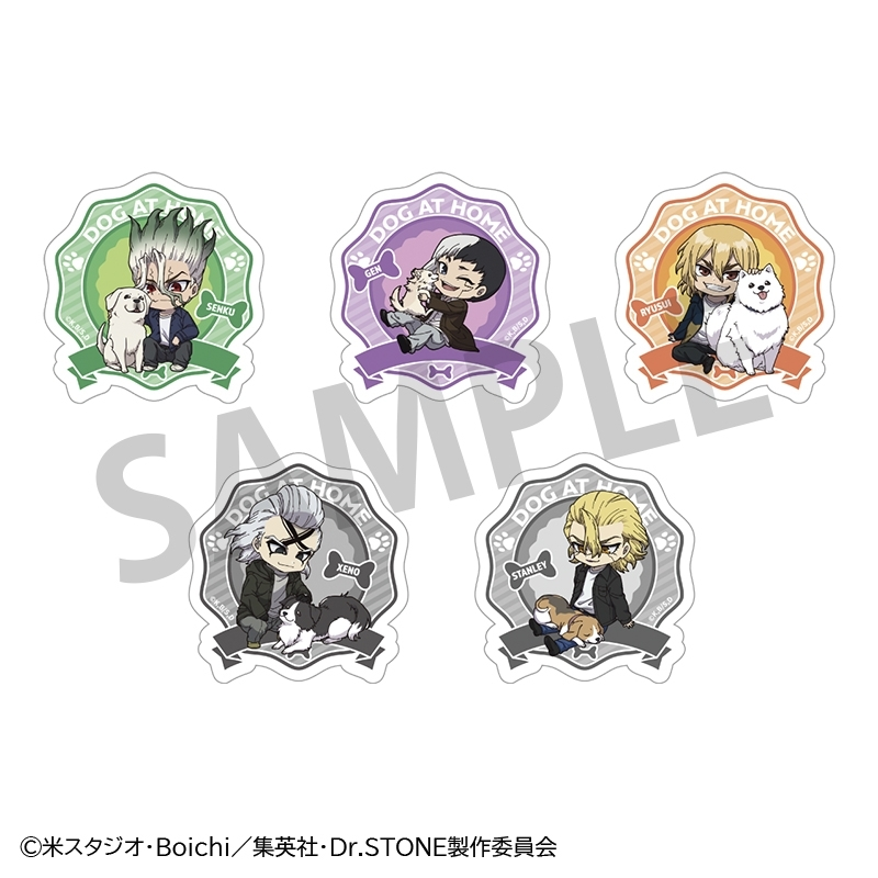 ドクターストーン　グッズセット Dr.STONE ドクターストーン ドクスト グッズ セット