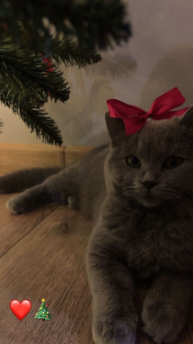 n3LLy (@niquitinn) on Twitter photo 