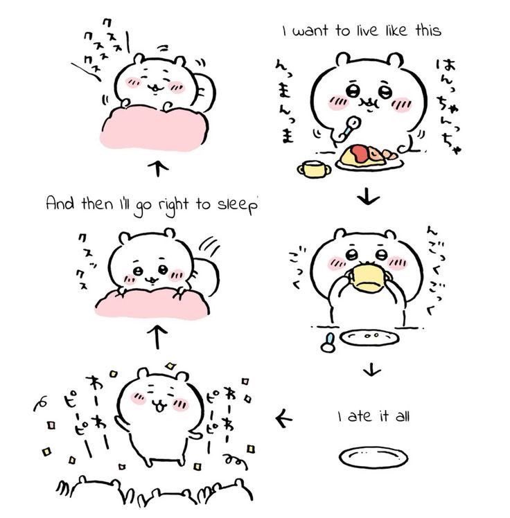 tanijrou's tweet image. this is how life is intended to be lived