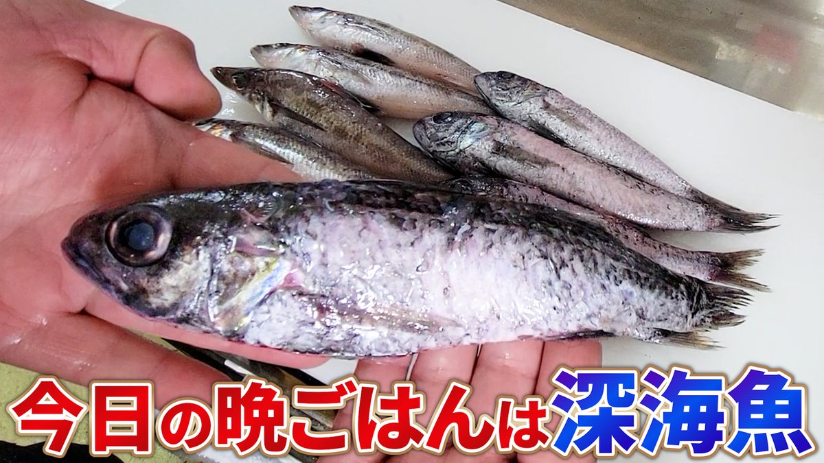 へんおじ The fresh Kagoshima fish box which came with two fish that Henoji
