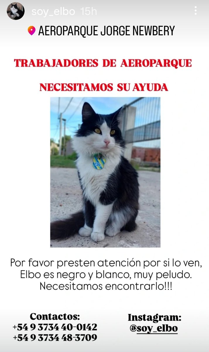 #MasterChefCelebrity
#BuenLunes <a href="/AeroparqueAEP/">Aeroparque Jorge Newbery Buenos Aires</a> 🙏🏼✨AYUDA para él SIGUE AHÍ sólo,  RT RT RT 
#FelizNavidad2025 #soy_elbo @soy_elbo 👈🏼INSTAGRAM.