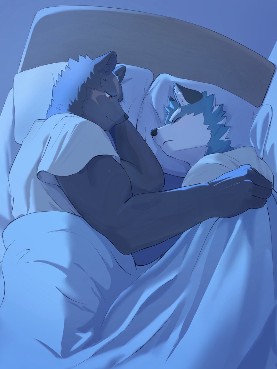 #KnightsCollege 
Midnight