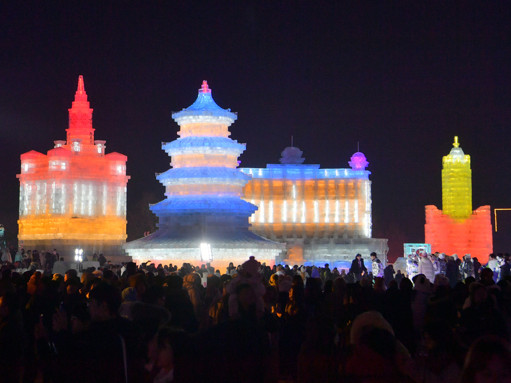 Language Video tweet media