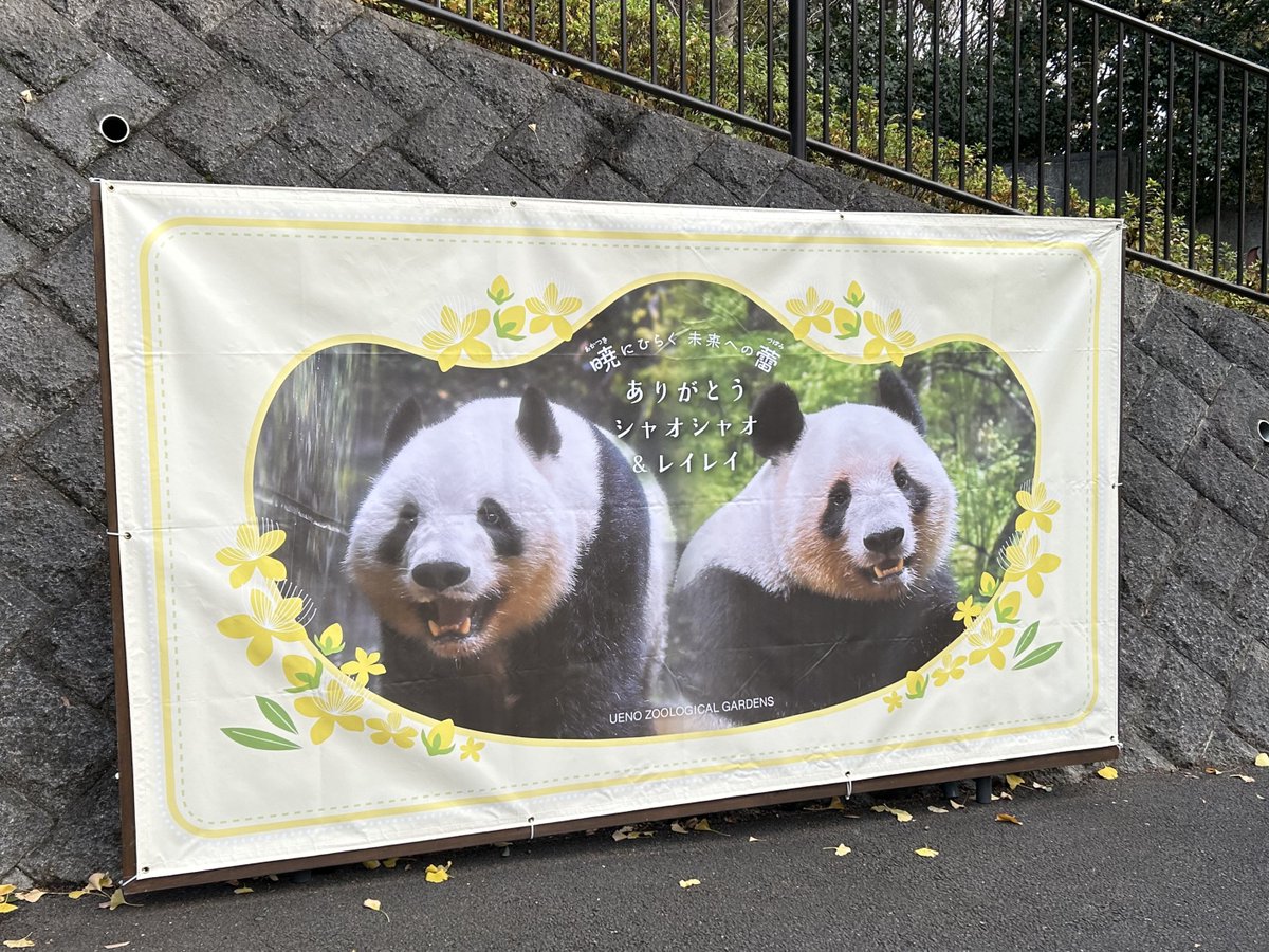 パンダ•*¨*•.¸♬︎ なびぱんだ (@SE23102561) / Posts / X