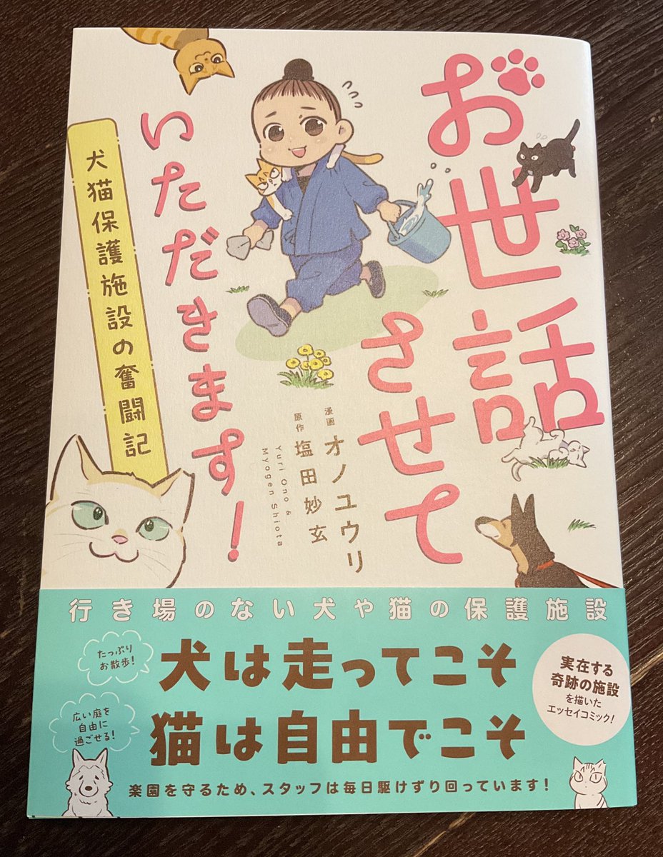 matsbox's tweet photo. 犬猫保護施設の奮闘記『お世話させていただきます！』ご恵贈いただきまして、一気に読み終わっていました…すごくよかった…

私も少し前に扁平上皮癌の猫を看病していたのですが、その日々はまさに「お世話させていただきます！」という感じなのですよね。
犬猫全ての家族が最期まで幸せであれ…！ https://t.co/ISIEBZX47K
