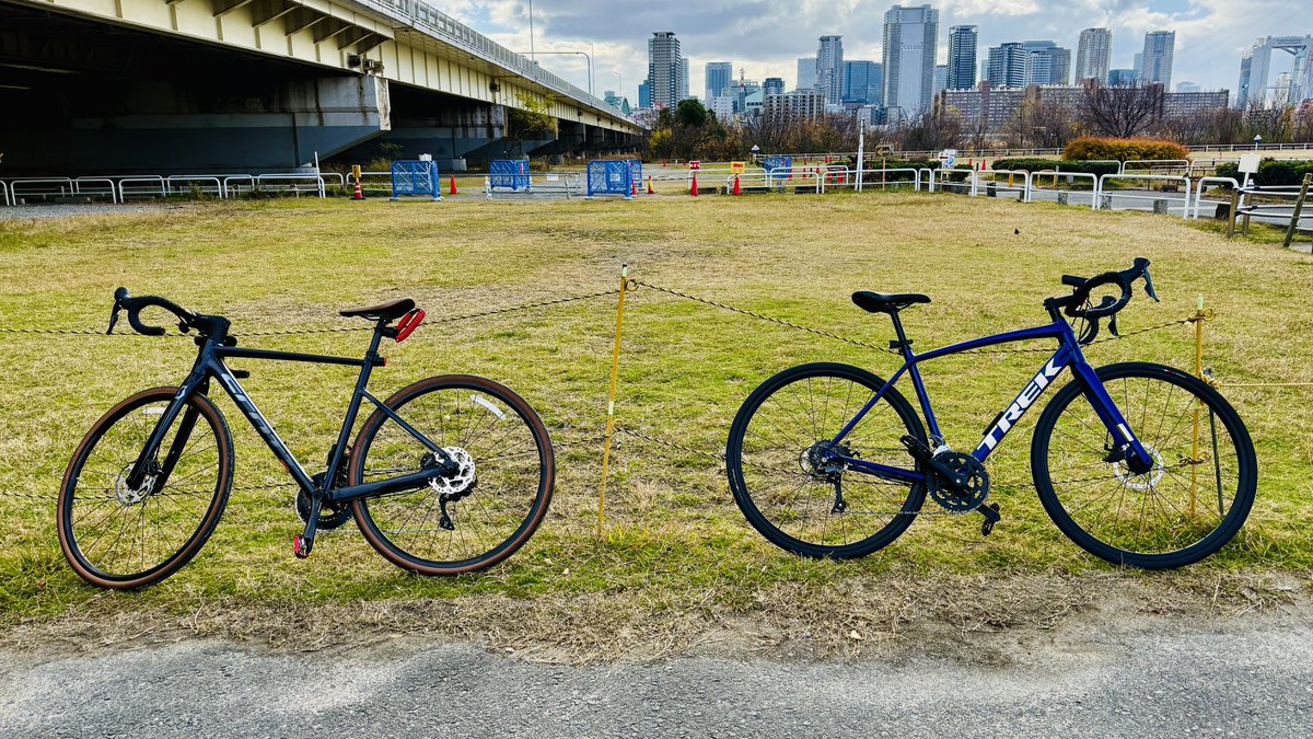 けんさくＤ｜坂本憲作｜ Kensaku Sakamoto tweet media