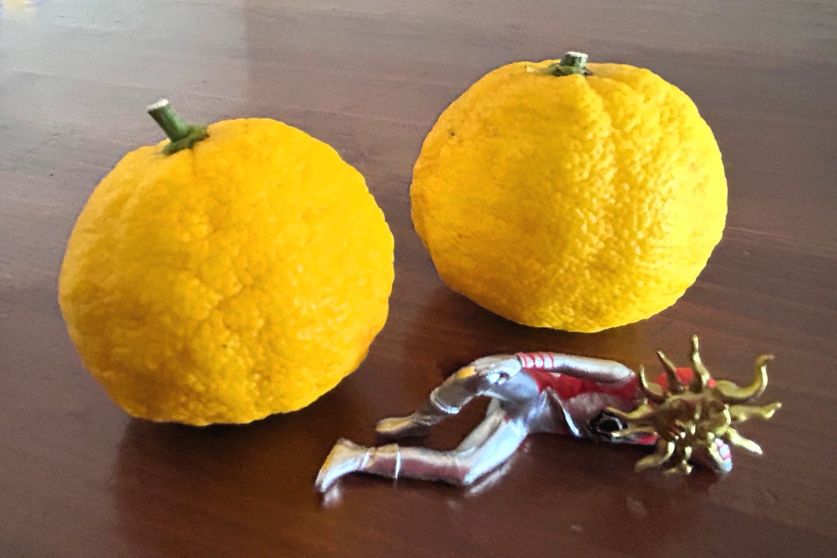 さくら (@eureka_skncton) / Posts / X