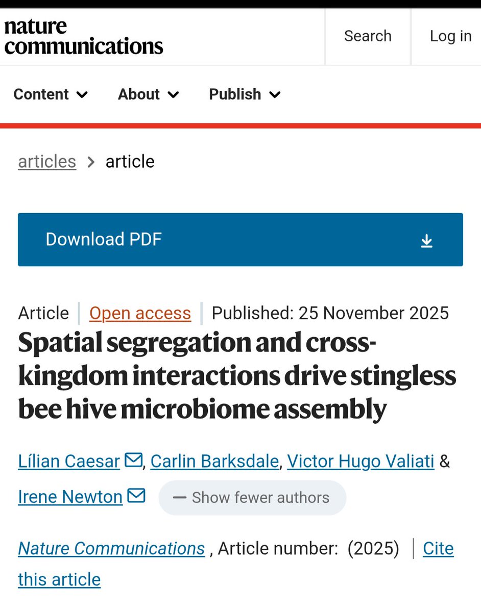 Lílian Caesar tweet media