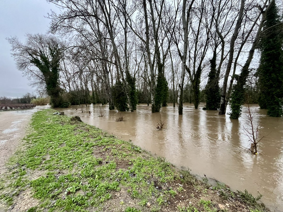 Le fleuve #Hérault subit une #crue importante en ce début de semaine alors que de fortes pluies orageuses concernent encore le département. Exemple dans la basse vallée de l'Hérault où les débordements sont nombreux. 
Photos : <a href="/BeTournier/">Bérenger Tournier</a>
