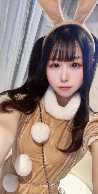 Dolly Catsのツイート