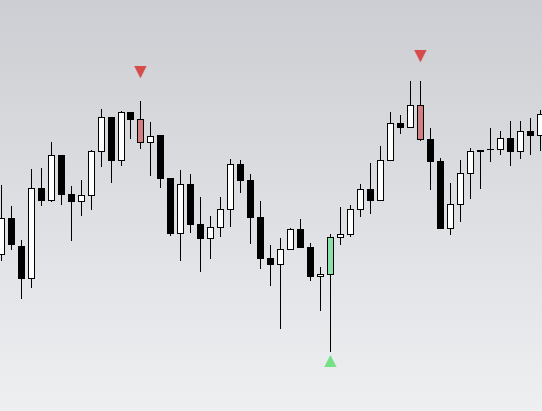 Dead Cat Bounce tweet media