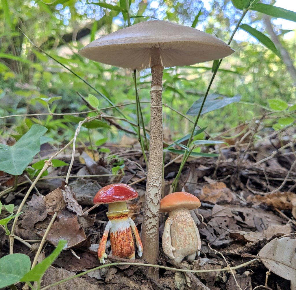 トミー（Tommy） (@0vkkE7zR7tIl8ee) / Posts / X