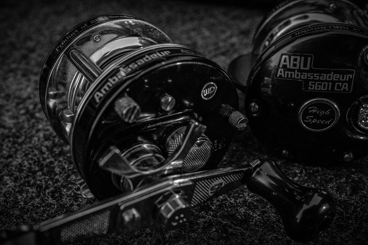 WOLF DOWN ® (@wolfdown_OA) / Posts / X