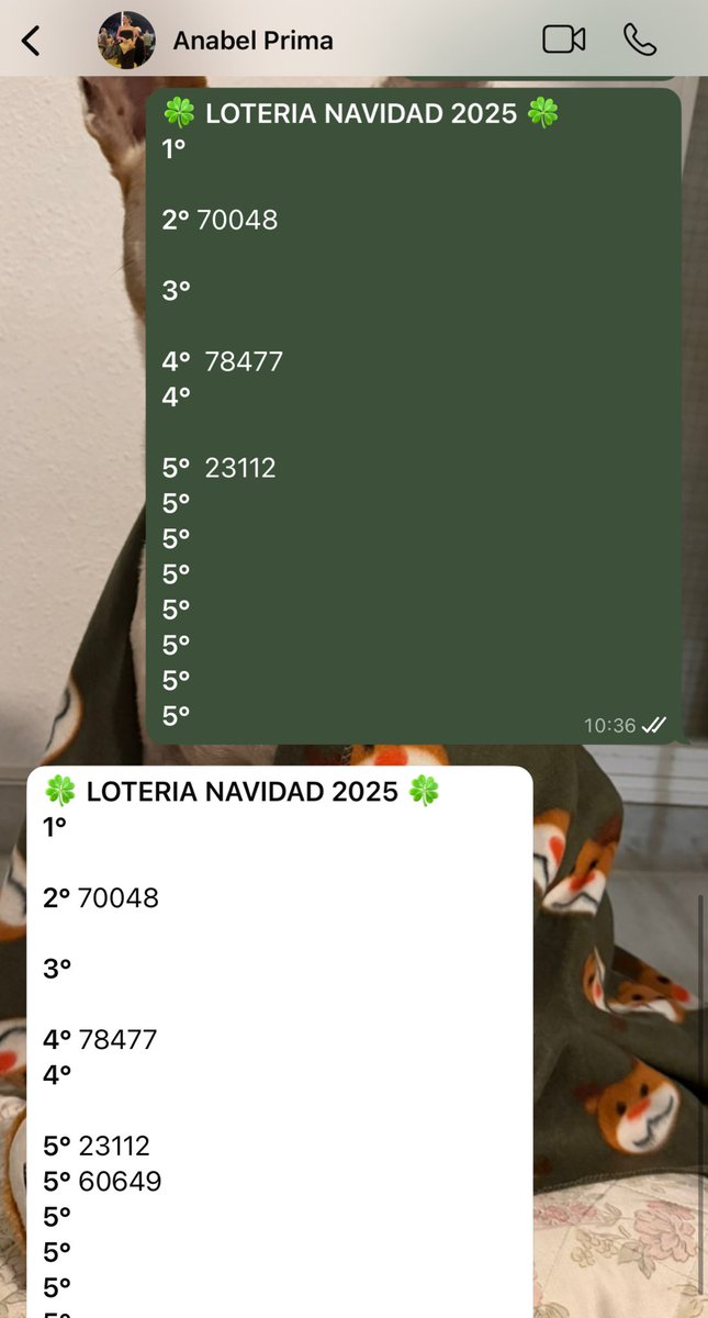 𝐂𝐚𝐦𝐞𝐥𝐢𝐚, 𝐂𝐮𝐫𝐢𝐨𝐮𝐬 𝐄𝐱𝐩𝐥𝐨𝐫𝐞𝐫 ✨ tweet media