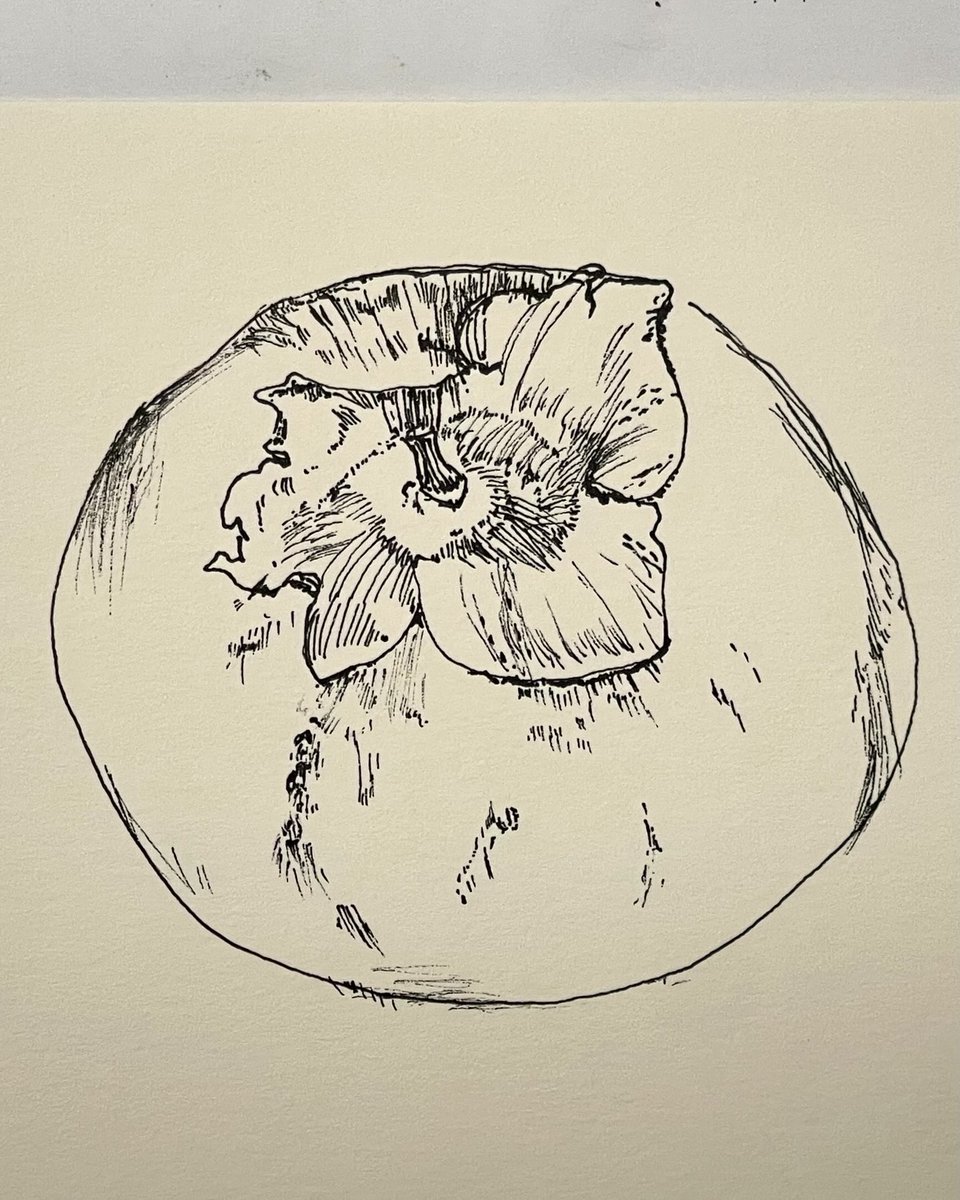 干し柿 鉛筆画 柿の写生 Ⅰ sketch of persimmons