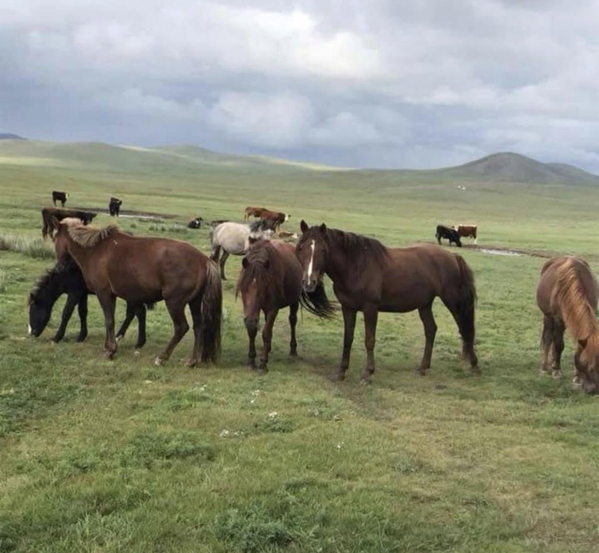Оройн мэнд 2025.12.22
Сайхан амраарай жиргээ