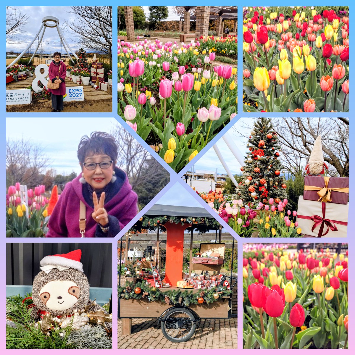 チューリップ】🌷