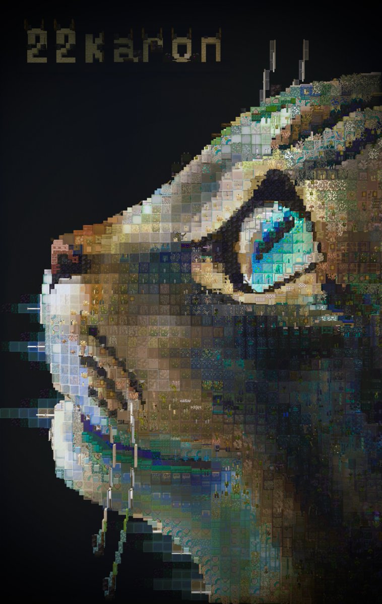 Karon🐈👒 tweet media