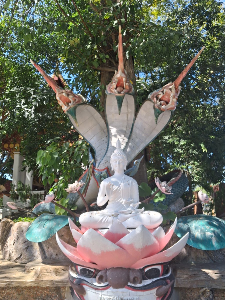 Rebecca รีเบคก้า tweet media