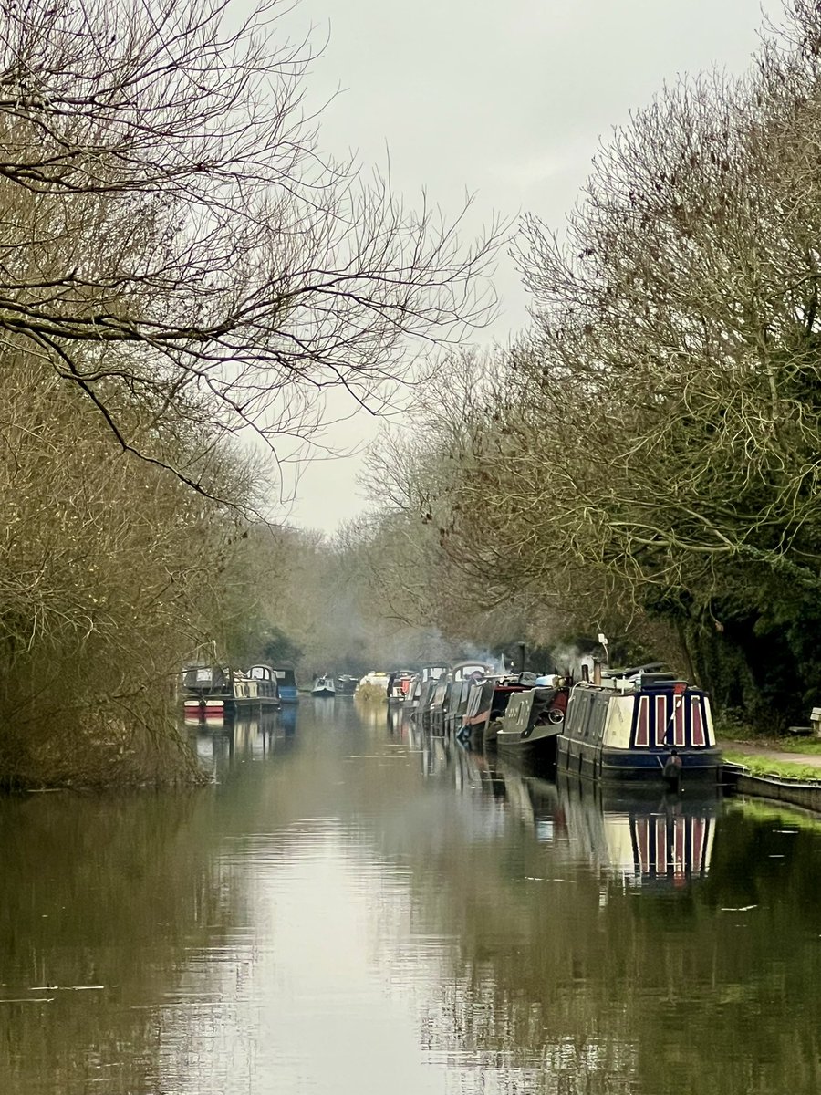 Carole Matthews tweet media