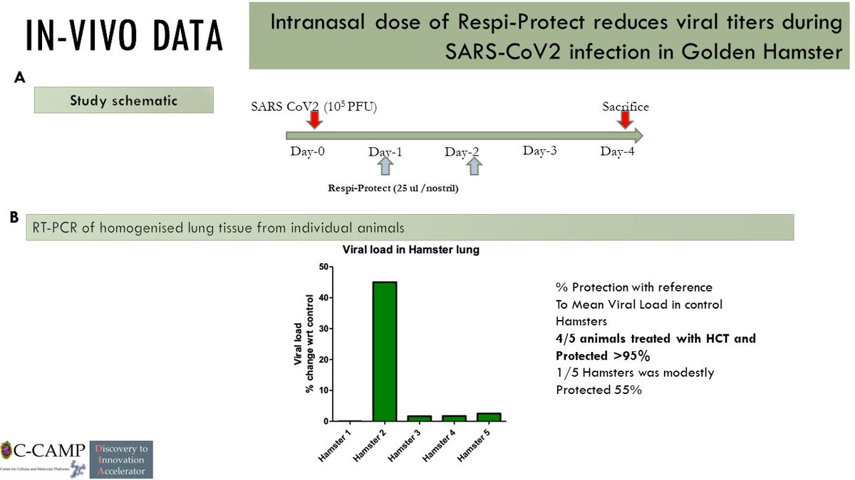 CCAMP_India's tweet photo. #TechnologyForLicensing
We are looking for industry partners to scale up a novel immunomodulator in the respiratory infection space.
Developed and translated by the CCAMP translation research programme, Respi-Protect helps to prevent and treat respiratory infections such as the flu and COVID-19 through intranasal delivery.
Respi-Protect's USP: A non-invasive, easily deliverable option for the prevention and treatment of various respiratory infections.
What is the technology?
It is an immunomodulatory peptide-based immune-boosting mechanism with broad-spectrum activity against viruses like Influenza and potentially SARS-CoV-2
How does it work?
Respi-Protect works by activating the innate immune system in the nasal mucosa, which is the initial entry point for respiratory pathogens. This activation is achieved by modulating the TLR2/4 pathways.
Studies conducted on animal models of influenza and COVID-19 have shown that Respi-Protect can serve both prophylactically and therapeutically, reducing lung damage and viral titers.
We invite #industry partners and other interested stakeholders to explore partnership opportunities with us. If you are interested in knowing more about this technology, please reach out to the CCAMP Office of Technology Transfer (#OTT):
๐งott@ccamp.res.in, dia_licensing@ccamp.res.in
๐ท080 6718 5322
@Taslimarif @BIRAC_2012 @PrinSciAdvOff @PrinSciAdvGoI @DBTIndia @IndiaDST
@SiemensHealth @Boehringer @Novartis @NovartisIndia @biogen @EliLillyandCo @AurigenePharma @sanofi @IndiaSanofi @Cipla_Global @ZydusUniverse