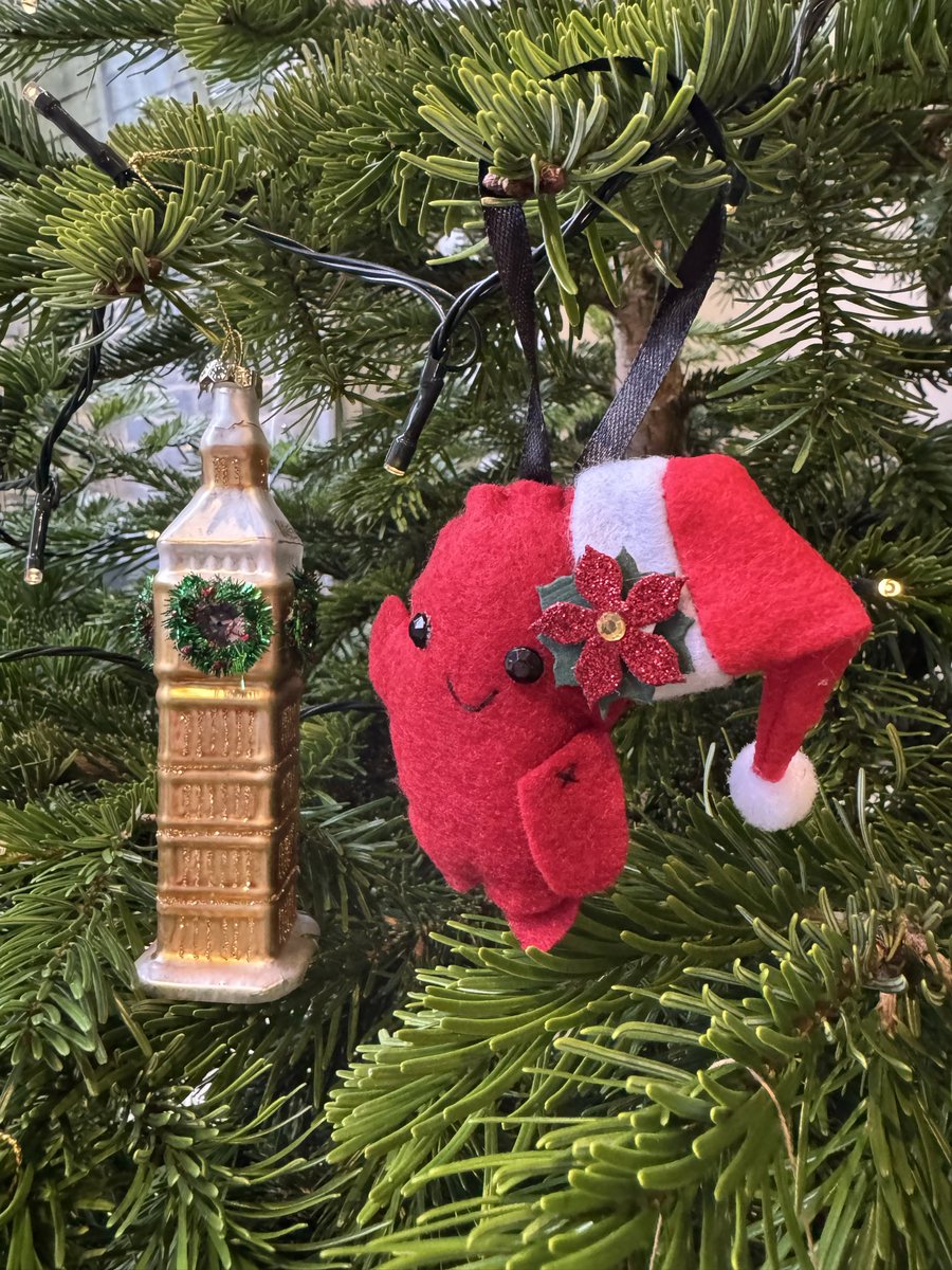 Emii 🌸 tweet media