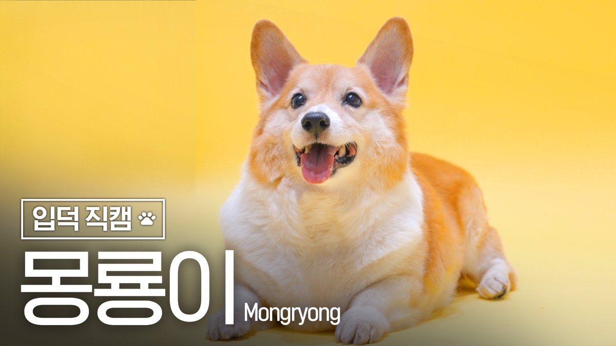 BAEKHYUN_INB100's tweet image. 💛몽룡이 입덕 직캠💛｜몽룡 (MONGRYONG)

youtu.be/ojmpLv5T9MM

#백현 #BAEKHYUN #몽룡 #Mongryong