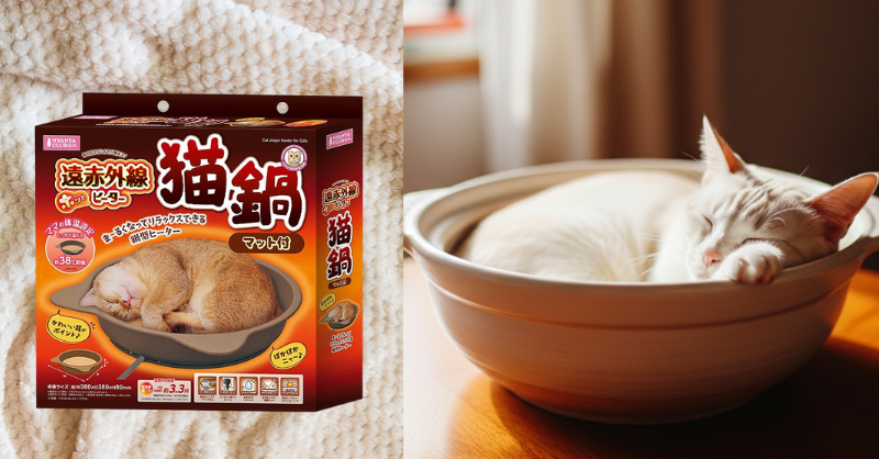 仲良し猫鍋♡ 仲良し猫鍋♡ 仲良し猫鍋♡ 仲良し猫鍋♡