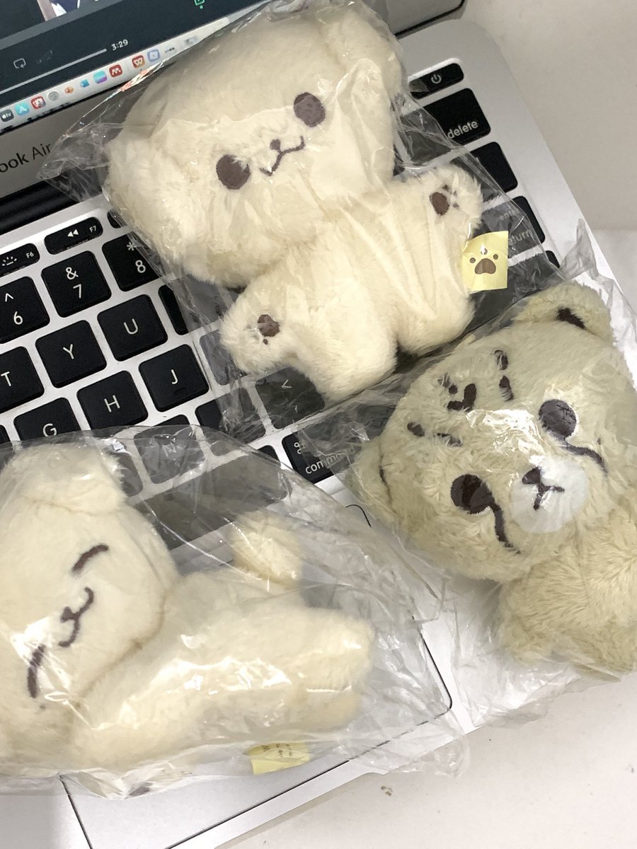 wts want to sell nct dream doll

🐯 cheetah lee doll 10 cm tag putih
🐶 kongjjen doll 10 cm 
🐶 pokjjen doll (sleep)

📍 dom jakarta (bisa cod ketemuan)
🍊 shopee (splitpay)

kongjjen sama pokjjen with box

🏷️ wts want to sell jual doll boneka mark lee lee jeno boneka