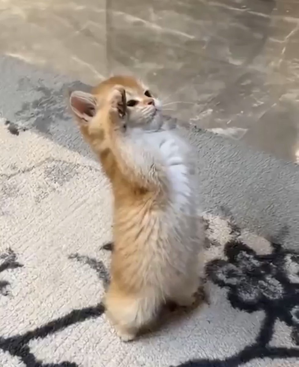 ปีใหม่อย่างอนบ่อยน้า                            (มั่ย)คับ!