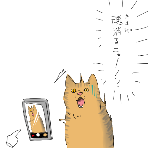 #クリスマスに全く関係ない画像載せてTLを荒らす 