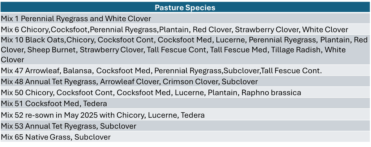 Roberto Busi tweet media
