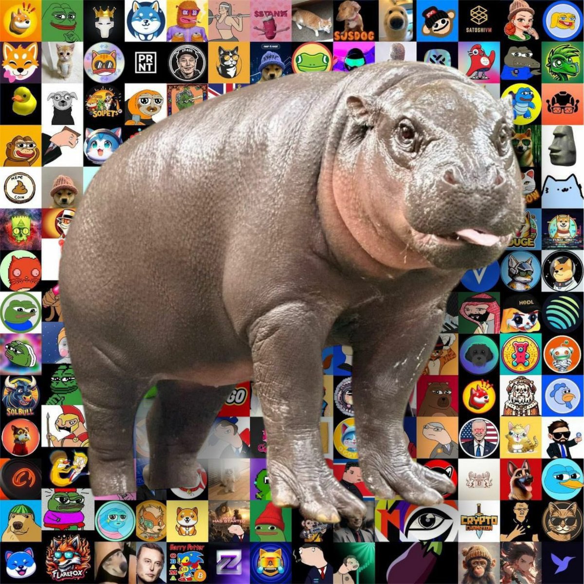 MOO DENG (MOODENG) Social Media Analytics on LunarCrush