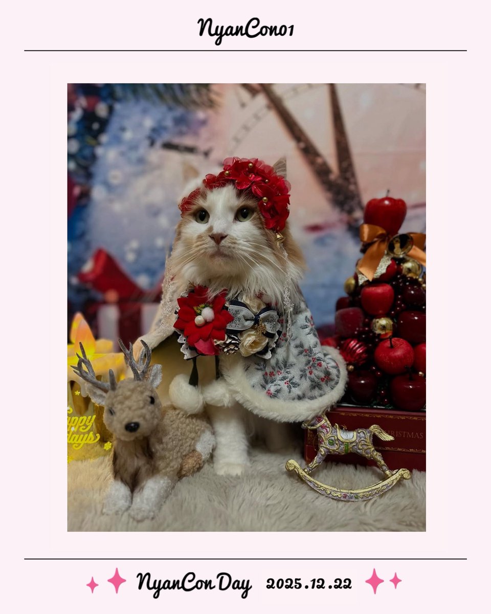 NyanCon（ニャンコン） | 「猫と共に」公式アカウント🐾 (@NyanCon01