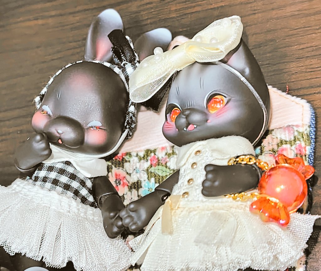 🖤🐰「お揃いですわね！もっちゃん！わたくし嬉しいですの