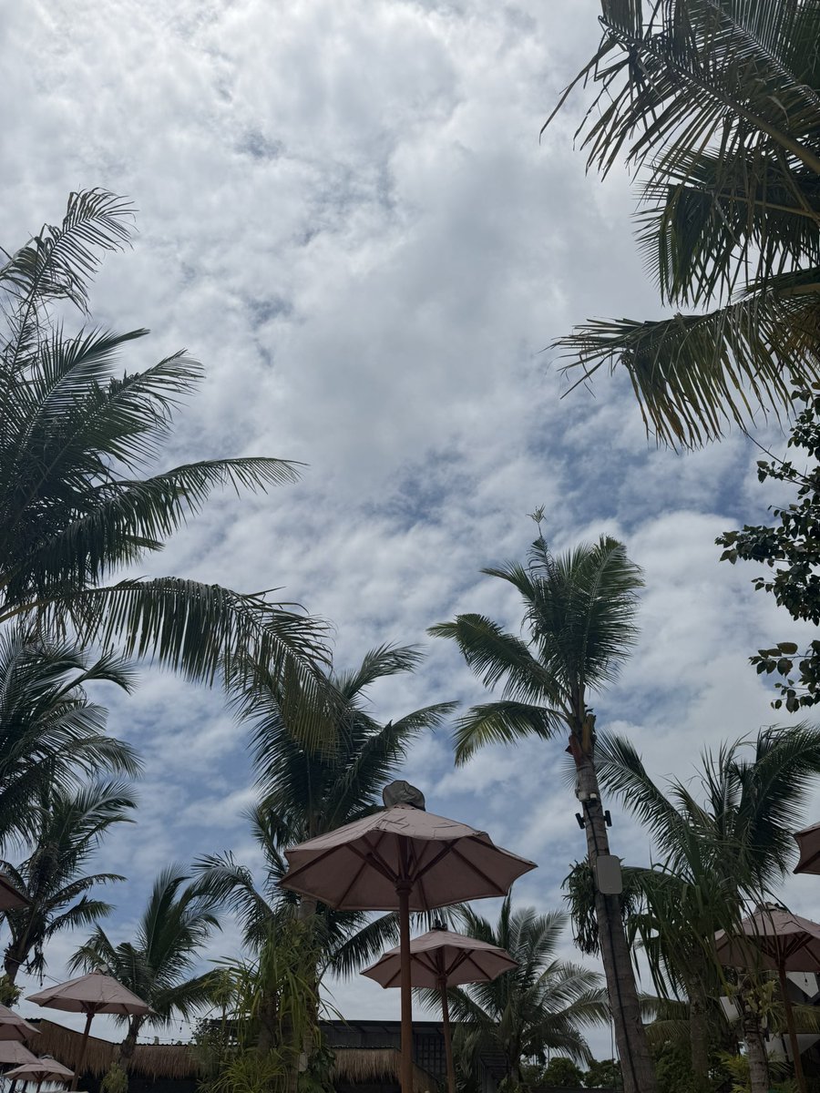 codewithdary's tweet image. AI generated.