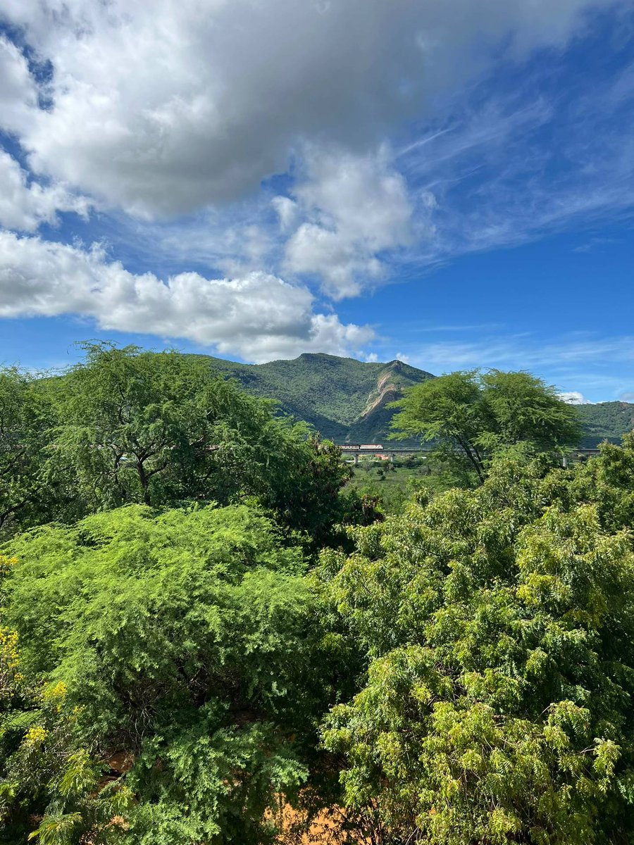 Here we go! tweet media