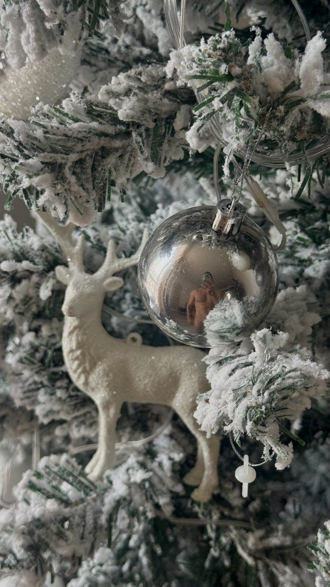 dojoo00's tweet image. Are you in a Christmas mood yet?