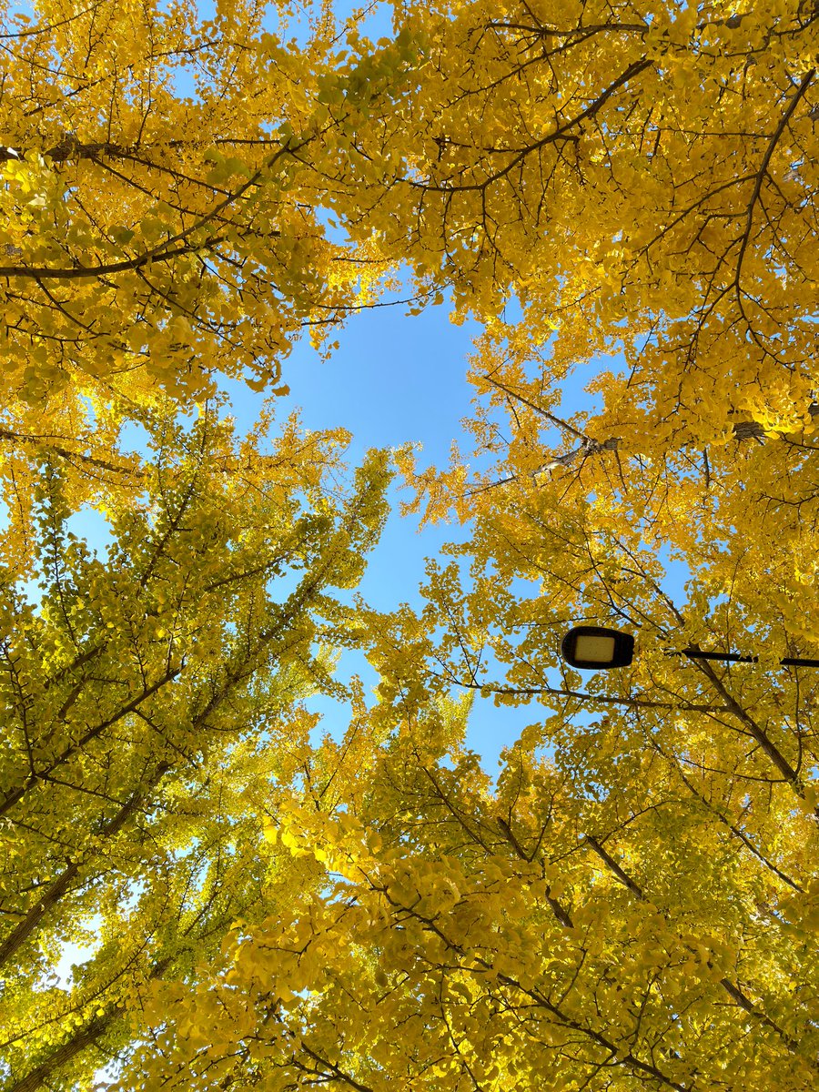 황민현 사진 진짜 겁나 잘 찍음
이게 아이폰으로 찍은거래
실화냐
카메라로 찍은 것 같음 진짜