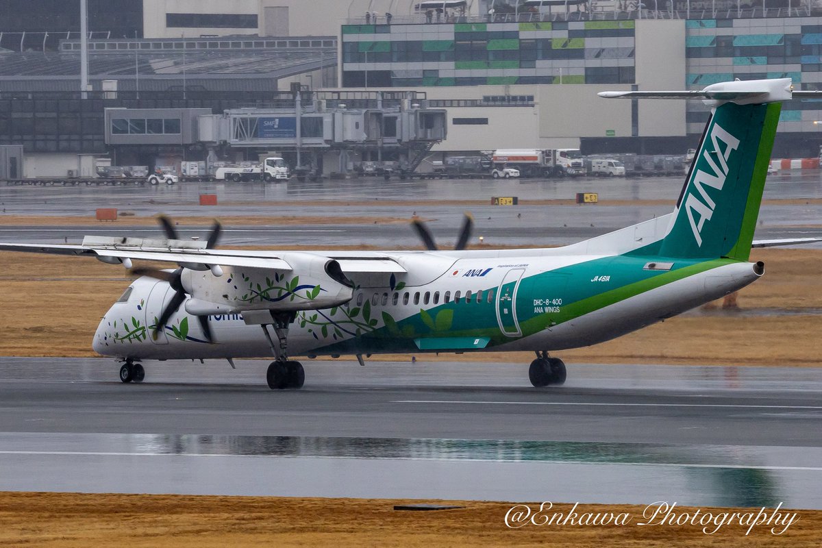 Hisashi_Enkawa's tweet photo. Aircraft: @ANA_travel_info #JA461A
Spot: #大阪国際空港
撮影日：2025年12月21日

エコボンちゃんとはヒサシぶりでした。🍀

#flyfromkansa https://t.co/QnB44KyZDx