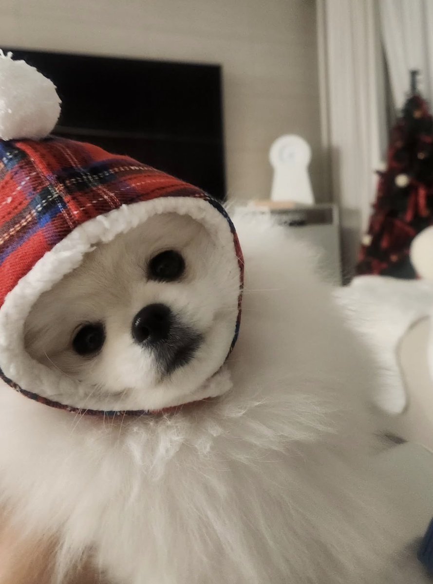 かわいい〰️candy💓💓💓 #TREASURE