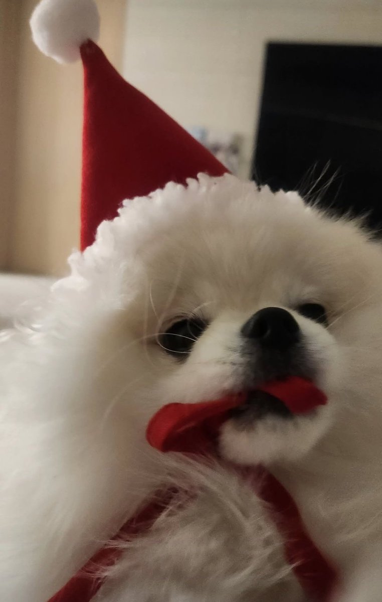 かわいい〰️candy💓💓💓 #TREASURE