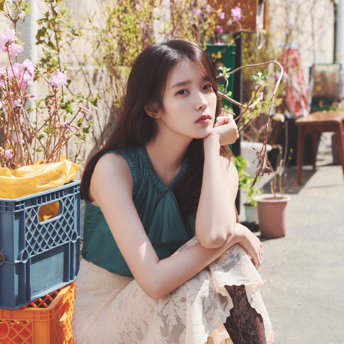 jieunchart's tweet image. .@_IUofficial ranks at #1 on 2025 Gallup Korea Year-End Top Singers Survey for Under 30s Age (20.1%) and at #6 for Over 40s Age (7.7%).

• 13~18 Age — #5 (14.1%)
• 19~29 Age — #1 (20.2%)
• 30s — #1 (23.8%)
• 40s — #1 (18.1%)