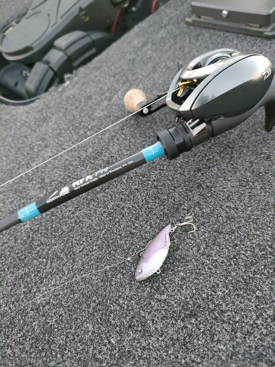 舞木雅和 モギハノン (@MasakazuMougi) / Posts / X