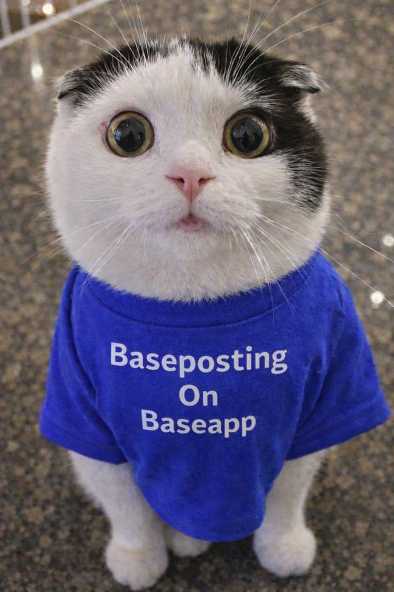 darkhourspd's tweet image. Baseposting on Baseapp $BOB 

If you are @baseapp drop your handle I will be following everyone .
base.app/content/EkUKQw…