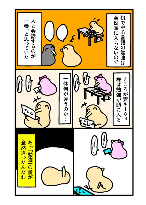 言語の勉強 
