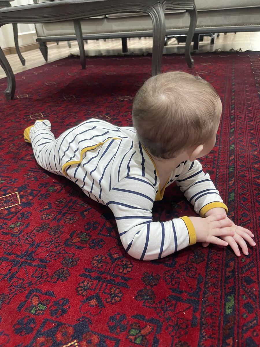 carinamn15's tweet photo. آذر 🧡 https://t.co/mfF2rhPjNd
