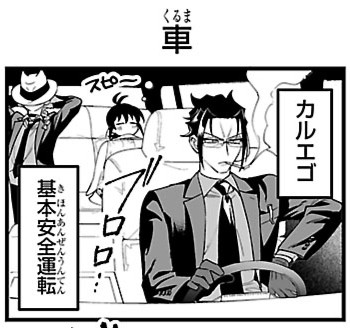 ブバリア様 生花】ブバリア ホワイトシュープリームなど(白)::【OR-5】 - 花材通販