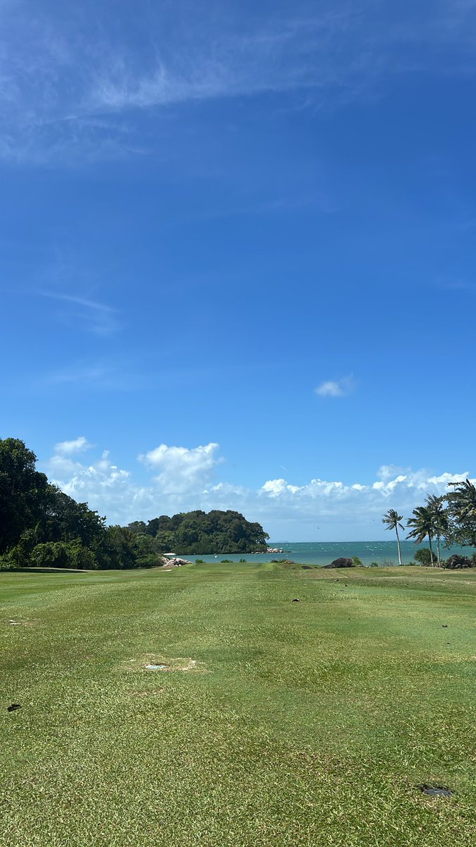 Not a great round today, but this view 😍