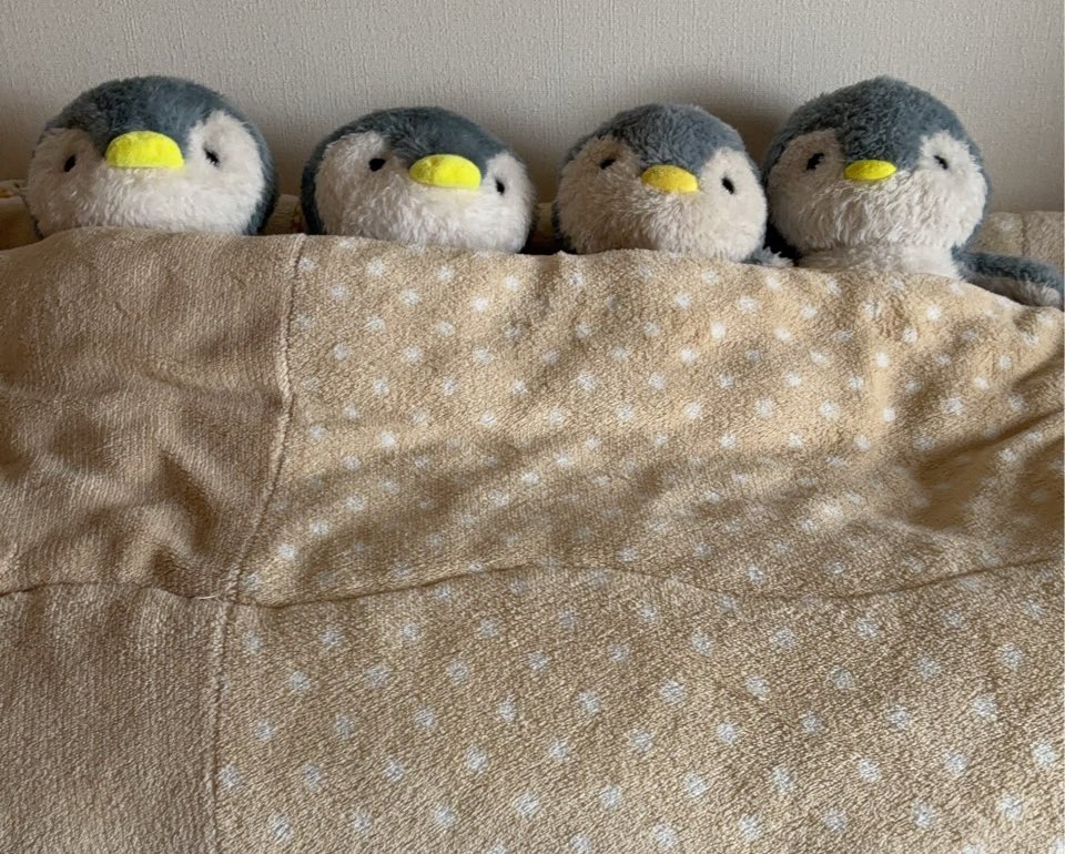 DAISO　ペンギンぬいぐるみ DAISO ペンギンぬいぐるみ ぬいぐるみ（ペンギン） - 100均 通販